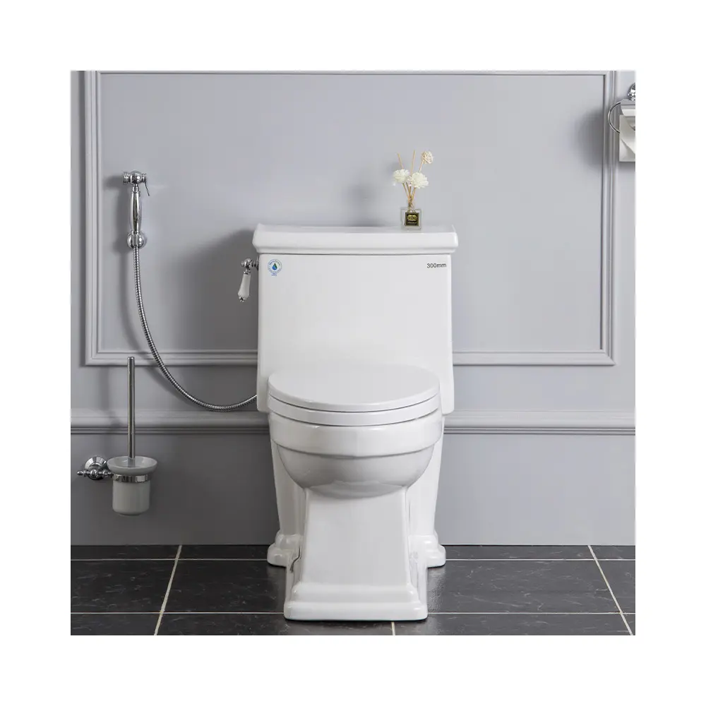 De Beste Kwaliteit Traditionele Keramische Een Stuk Wc Dubbele Flush Toilet