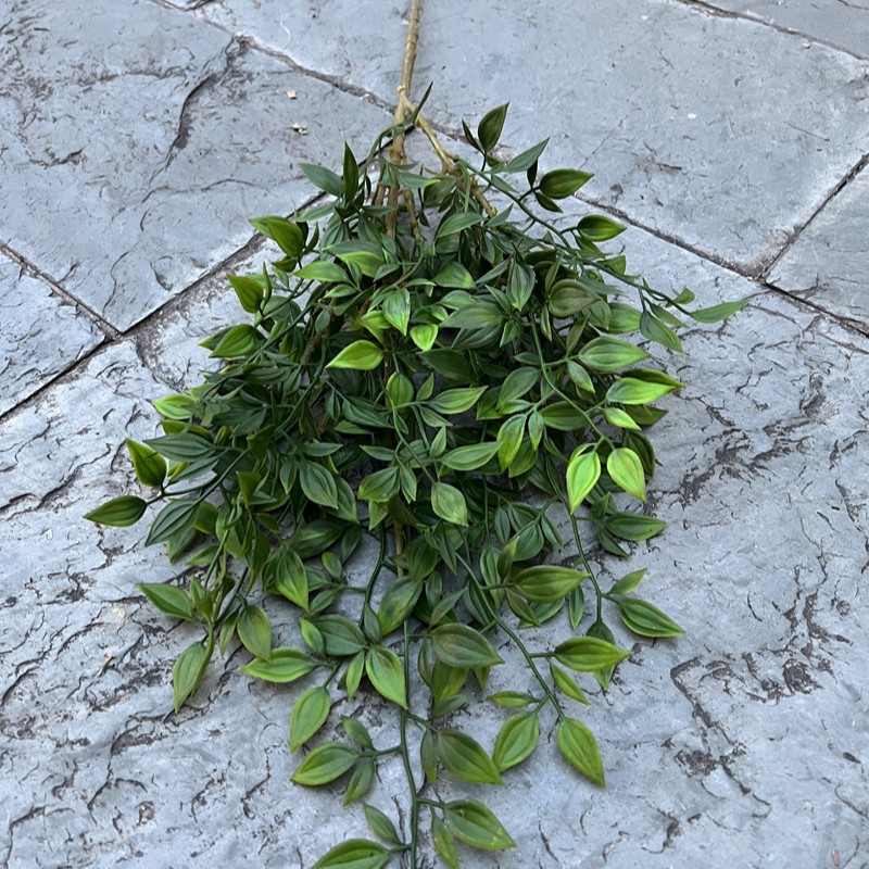 Feuille persistante