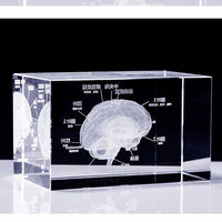 Modèle anatomique du cerveau humain en cristal pour l'enseignement médical, 5*5*8cm, certifié CE, garantie de 3 ans