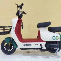 Vélos électriques à deux roues de plusieurs couleurs, personnalisables, prix des vélos électriques pas chers au Pakistan