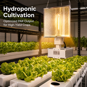 Lámpara de Cultivo Hortlight de <span class=keywords><strong>600W</strong></span> <span class=keywords><strong>HPS</strong></span>, 340V-420V, 100KHz, Súper Alta Frecuencia, Accesorio Electrónico para Cultivo Comercial de Flores - Product Image 4