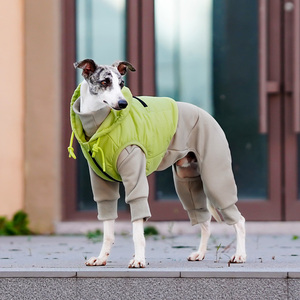 Vêtements pour animaux de compagnie, manteau en polaire pour chien et chat, imperméable, veste pour lévrier, whippet, <span class=keywords><strong>lurcher</strong></span>, Ropa Para, ensemble deux pièces - Product Image 4