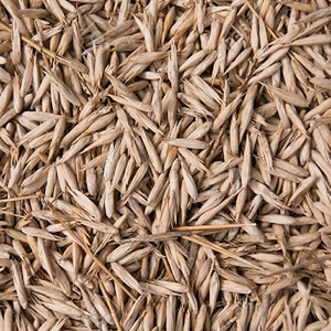Matériaux naturels en bambou de qualité supérieure, bâtons de bambou séchés, matériau en bambou durable pour l'artisanat, le mobilier et l'usage industriel - Product Image 1