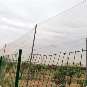 50gsm 6*100m Orchard mưa đá phòng chống Net Vườn Nho mưa đá bảo vệ Net trắng bóng râm Net - Product Image 6