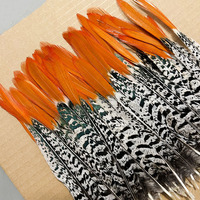 Plumes de faisan Lady Amherst rouges pour costumes de carnaval, chapeaux de danse Samba, accessoires de spectacle de festival