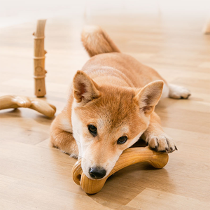 Fabricant de jouets pour animaux de compagnie, jouets à mâcher en bois écologiques résistants aux morsures, nouveaux jouets interactifs pour chiens, jouets d'entraînement moléaire pour chiens - Product Image 5