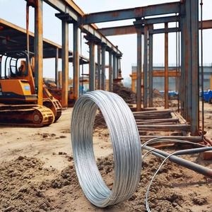 熱販売中 Bwg20 電解亜鉛メッキGI結束線 曲げ加工サービス付き - Product Image 6