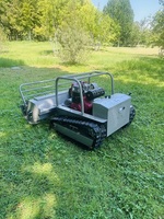 Tondeuse à fléaux de 800 mm, 1000 mm, 1200 mm, tondeuse à gazon à chenilles télécommandée avec certificat CE EPA pour les travaux de broussailles