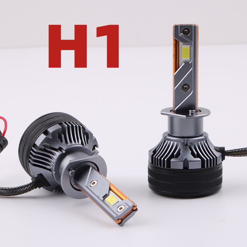 H1