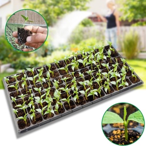 Plateau de semis en plastique <span class=keywords><strong>PVC</strong></span> pour la culture du riz, des semis et des plantes en serre agricole - Product Image 3