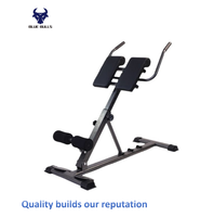 Chaise romaine pliable multifonctionnelle, banc d'extension dorsale, appareil d'hyperextension, équipement de fitness à domicile pour hommes et femmes