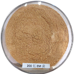 Chất lượng hàng đầu thúc đẩy tăng trưởng hợp chất Probiotics nguồn cấp dữ liệu cho các lớp gà - Product Image 5