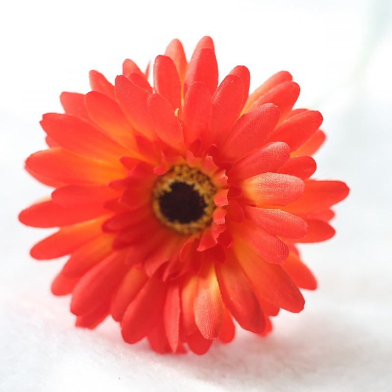 Arancione