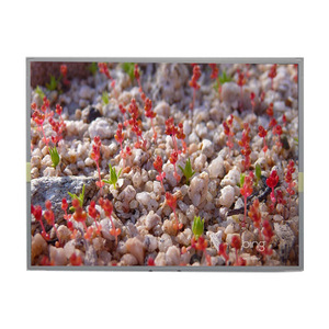 LM201W01-A6K2 จอ LCD คุณภาพสูงเยี่ยม ขนาด 20.1 นิ้ว ความละเอียด 1600*1050  60Hz - Product Image 1