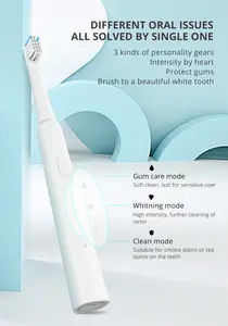 Elektrische Tandenborstel China Slanke IPX7 Waterdichte Oral Care Elektrische Tandenborstel