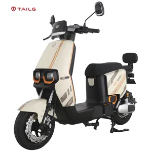 TAILG Chinês 2023 Nova Chegada Excelente Qualidade 100KM 48V 400W 2 Rodas Adulto E Mobilidade Scooters Elétrico