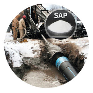 ポリアクリル酸ナトリウムCAS 9003-04-7工場供給 - Product Image 4