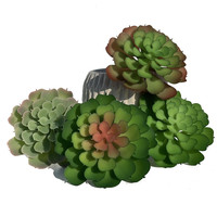 Mini Lotus Saussurea Involucrata Artificiel Réaliste Fait Main, Plante Succulente en Plastique, Décoration Moderne pour Bonsaï