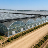Serre multi-travées en film plastique avec toiture à cannelures, structure en acier galvanisé à chaud, pour l'agriculture commerciale de tomates et de fraises