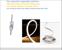Module LED 2 LED 1W Blanc Froid DC12V 24V pour Boîte à Lumière en Tissu