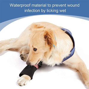 Pet Dog Recovery Sleeve Front Leg Coude Protector Brace Wrap pour Petits Grands Chiens Lavable Pet Blessure Injury Knee Brace Sleeve - Product Image 4