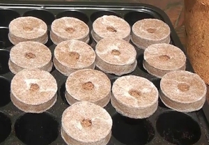 Solution de semis biodégradable et écologique pour granulés de tourbe de coco de 4.3 cm pour un semis facile - Product Image 3