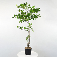 Tanaman Buatan Daun Ficus yang Lebat dengan Batang yang Mirip Asli untuk Dekorasi Ruang Tamu Dalam Ruangan, Rumah, Kantor, Restoran, Kantin, Hotel