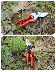 Usine chinoise, lame SK5, 21cm, ciseaux de cueillette de raisin de jardin, cisaille de dérivation, sécateur de fleurs de vigne - Product Image 3