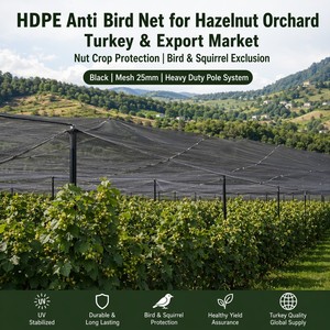 <span class=keywords><strong>Filet</strong></span> <span class=keywords><strong>anti</strong></span>-oiseaux en HDPE noir de 19 mm pour jardin potager, compatible avec les armatures DIY, protection contre les corbeaux, les pieges et les brassicas - Product Image 1