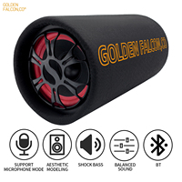 HiFi basse amplificateur de puissance haut-parleur de voiture 5 pouces 12V 220V sous le siège mince woofer audio haut-parleur de voiture subwoofer