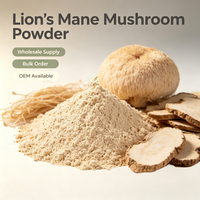 Poudre de champignon Crinière de lion pure en gros, Poudre de Crinière de lion brute