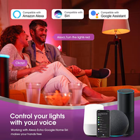 Ampoules intelligentes Wifi Tuya avec application mobile et commande vocale Google Alexa, ampoule LED pour la maison, l'hôtel et l'extérieur