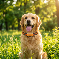 Traceur GPS Cutepet AI 4G Beidou avec surveillance de la santé, suivi en temps réel, fréquence cardiaque, étanche IP67 pour chats et chiens