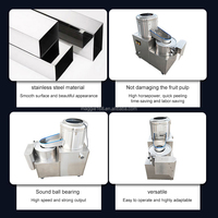 Petite machine industrielle automatique en acier inoxydable pour le lavage, la découpe et le pelage de frites et de pommes de terre en bandelettes