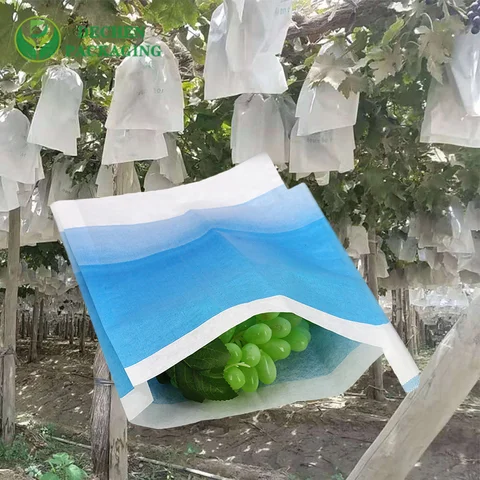 Mango Cover Bag Exporters for Mango Cover Bag Suppliers - Global & Reliable