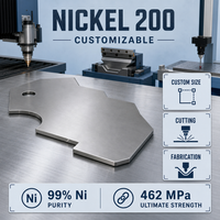 Plaque industrielle en nickel 200 personnalisable avec une pureté de 99 % de Ni et une résistance ultime de 462 MPa