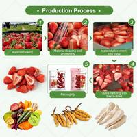 Liofilizador de 50 kg económico para alimentos, frutas, pescado y leche materna, máquina de secado por congelación al vacío con cinta transportadora
