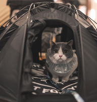 Vente en gros de tentes personnalisées confortables et respirantes pour chats et chiens, tente portable de petite taille pour animaux de compagnie, pour l'extérieur et l'intérieur