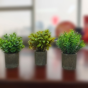 LUYI B2B Liquidación: Set de 3 Mini Plantas Artificiales en Maceta de Plástico para Decoración de Hogar, Jardín y Oficina - Product Image 3
