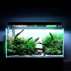 Lumière led pour aquarium, personnalisable, vente en gros, éclairage d'aquarium d'eau de mer