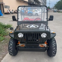 Jeep 4x4 tout-terrain, mini jeep 250cc, buggy des dunes, 4 roues motrices, quad, jeep côte à côte à vendre