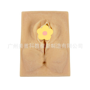 Modèle de pratique de suture vulvaire pour la spécialité d'obstétrique et gynécologie, module de formation aux compétences de suture périnéale, obstétrique et - Product Image 3