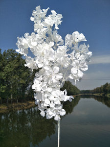 Flores artificiales de decoración al por mayor ramas de flor de cerezo de seda blanca flor de cerezo colgante artificial - Product Image 4