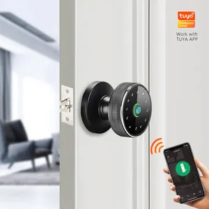 ODM OEM Digital Tuya Smartlife Rfid Card Cerradura Fingerprint Digital Door Lock Code Cylinder Lock