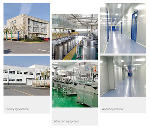 Penjualan langsung pabrik penjualan paling laris 120 kapsul tinggi dirancang untuk dewasa merek OEM didukung untuk perdagangan luar negeri - Product Image 6