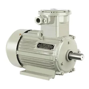 IE2 IE3 IE4 série horizontale grande taille 18.5KW-2 pôles 25HP 50HZ 380V moteur électrique asynchrone triphasé à l'épreuve ex