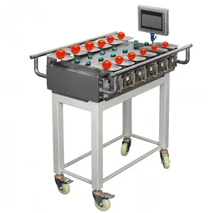 Fabbrica diretta multifunzione 12 14 multihead pesatore manuale per patate cipolle frutta verdura