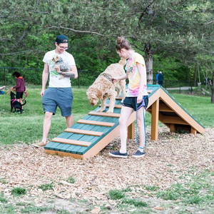 Equipo de Entrenamiento Personalizado <span class=keywords><strong>para</strong></span> Parques Caninos, Guardería <span class=keywords><strong>para</strong></span> Mascotas, <span class=keywords><strong>Parque</strong></span> Infantil al Aire Libre, <span class=keywords><strong>Parque</strong></span> de Agilidad <span class=keywords><strong>para</strong></span> <span class=keywords><strong>Perros</strong></span> en el Patio Trasero - Product Image 1