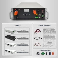 BMS Tegangan Tinggi 30S-256S 240V 384V 512V 768V 1000V 3A Active Balance DIY BMS 50A 100A 200A 300A 400A untuk Baterai LiFePO4