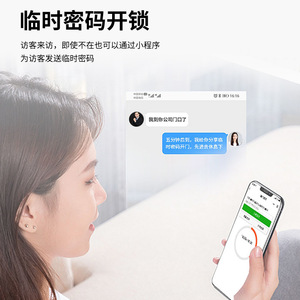 Deyang Enpu Smart Lock 1308H Fingerprint Password Card Swipe For Office Glass Doors With Bluetooth And Memory Card Storage - Product Image 4